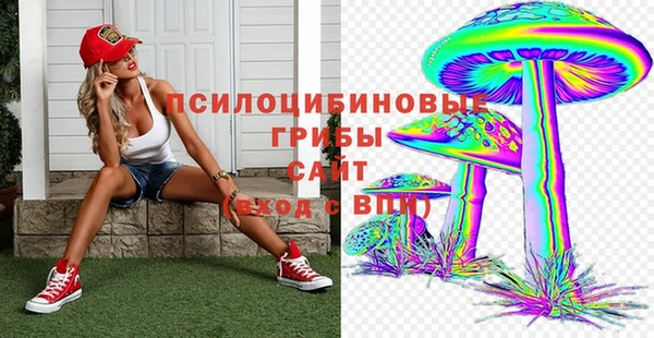 PSILOCYBIN Баксан